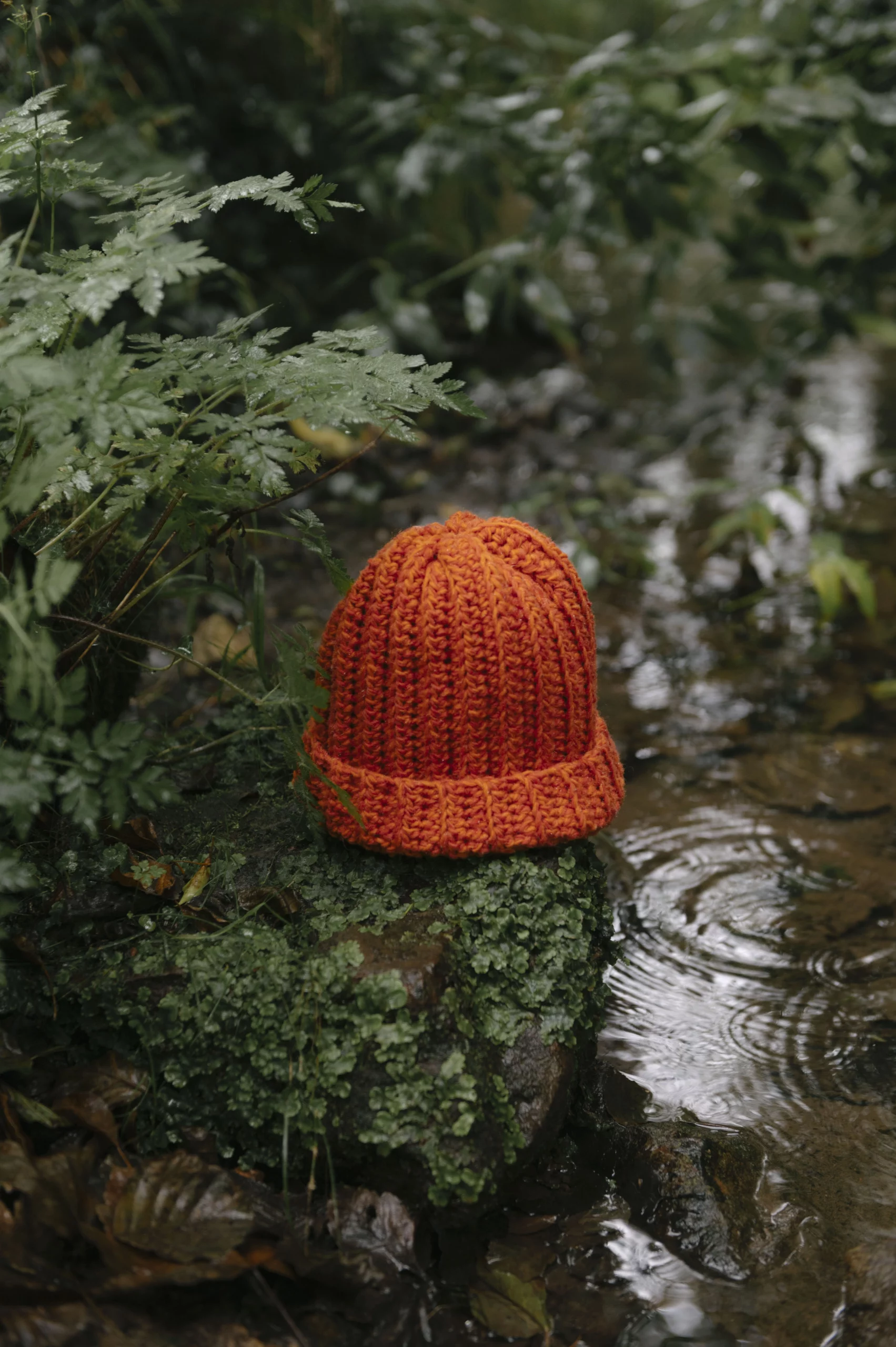 Gorro liquen naranja lana