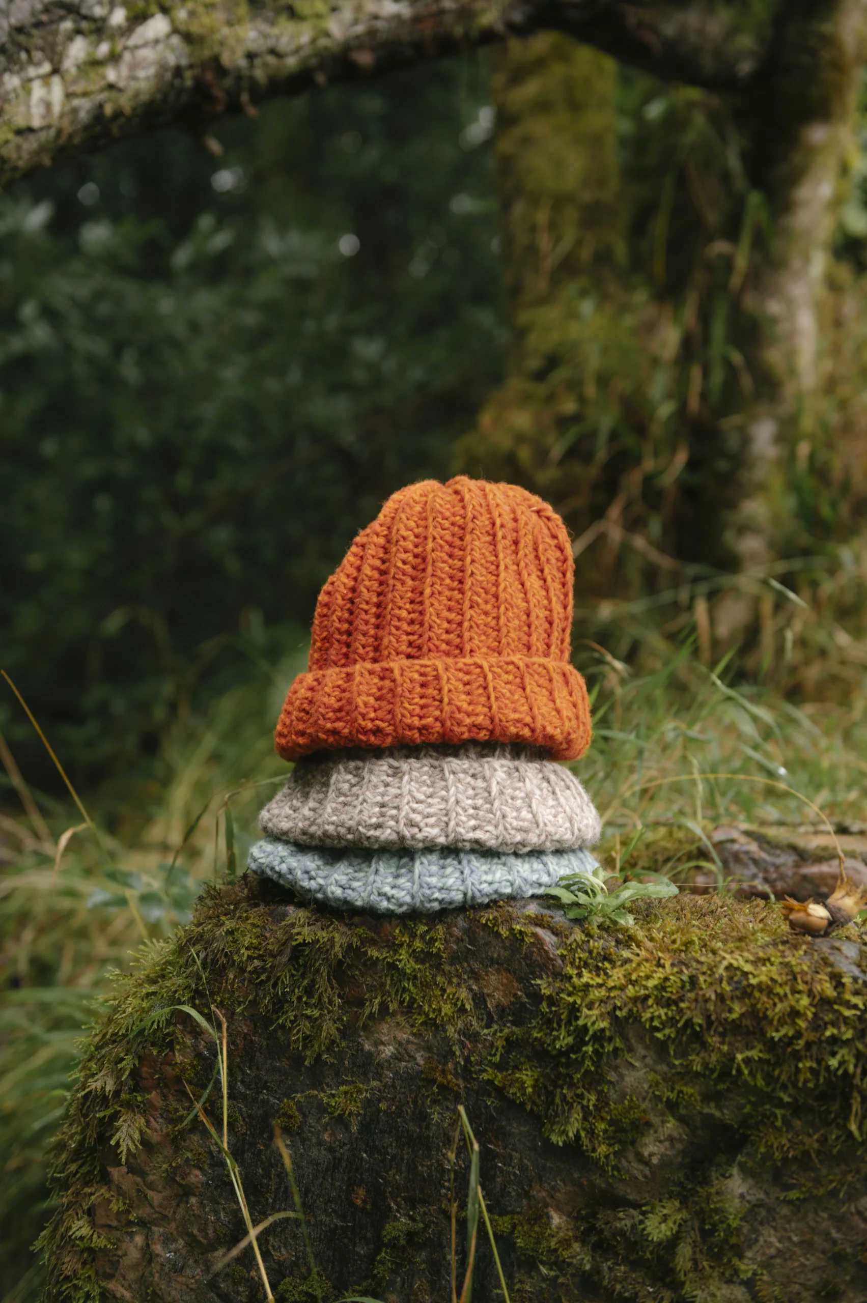 Gorro liquen lana Gorro liquen