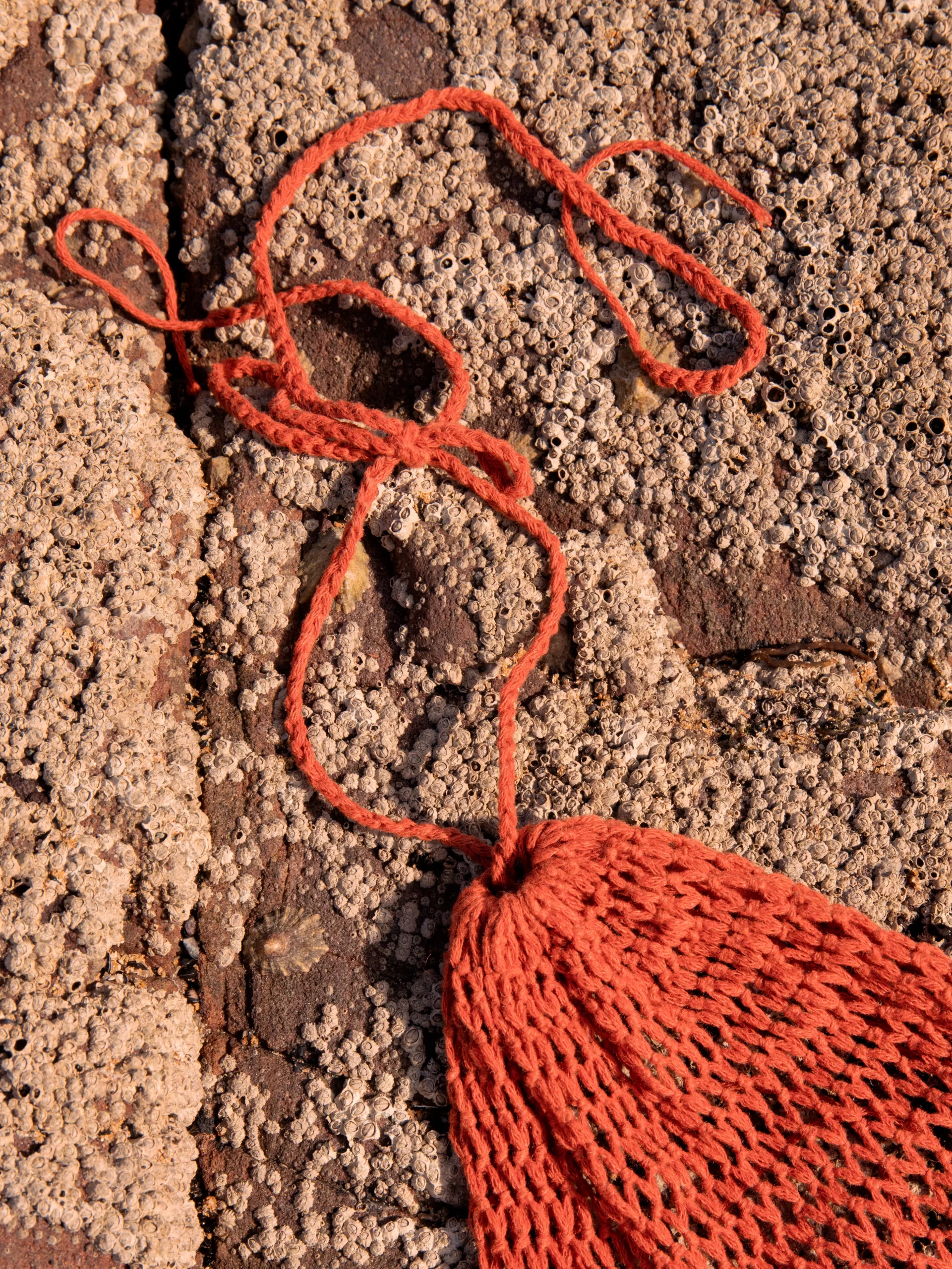 detalle cuello top red ajustable coral algodon