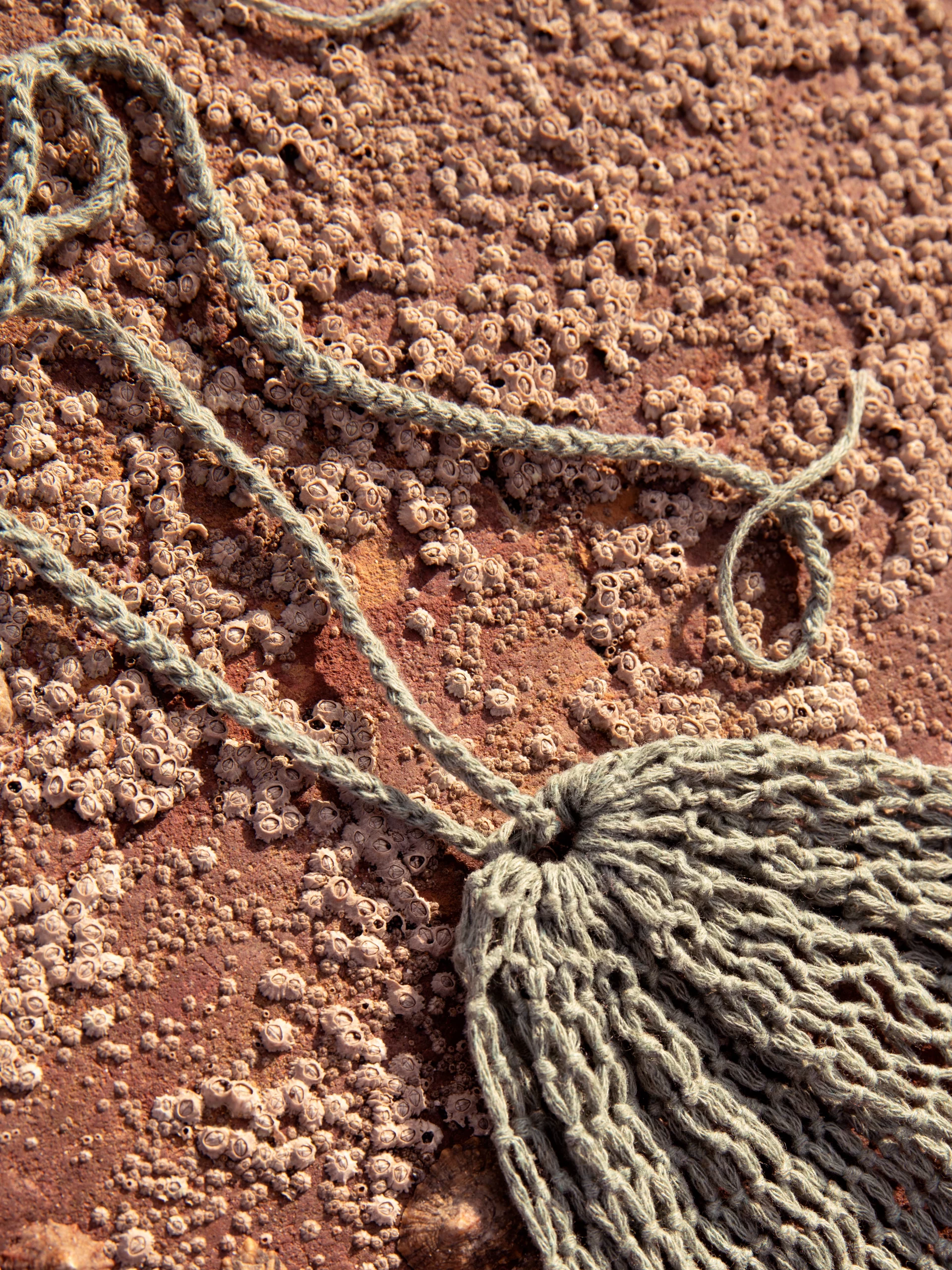 detalle cuello top red ajustable acua algodon