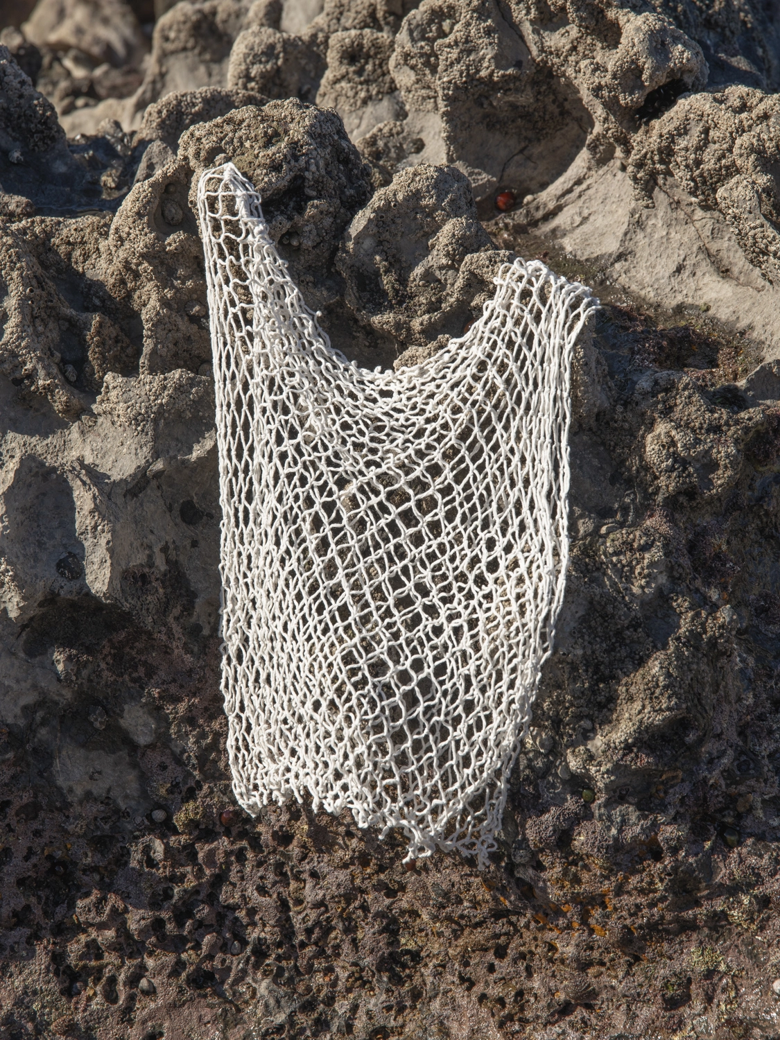 top red nacar blanco algodon
